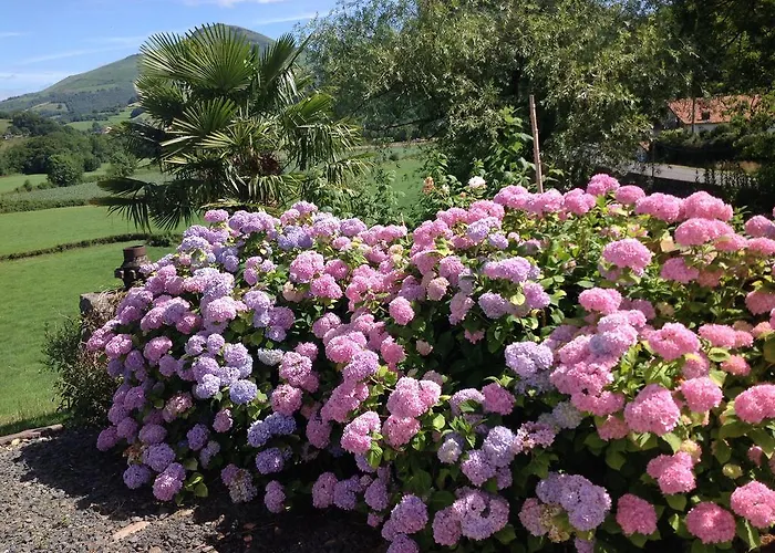 Bed & Breakfast Maison Amestoia 3*